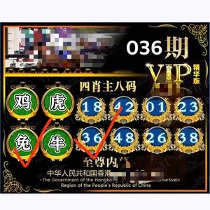 澳门肖一码100%准确,豪华精英版79.26.45-江GO121,127.13